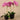 Flowers-Artificial Orchid Arrangement-Bloomr