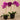 Flowers-Artificial Orchid Arrangement-Bloomr