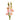 Flowers-Gladiola-Bloomr