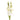 Flowers-Gladiola-Bloomr