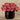 Floral Arrangement-Artificial Dahlia in Black Vase-Bloomr