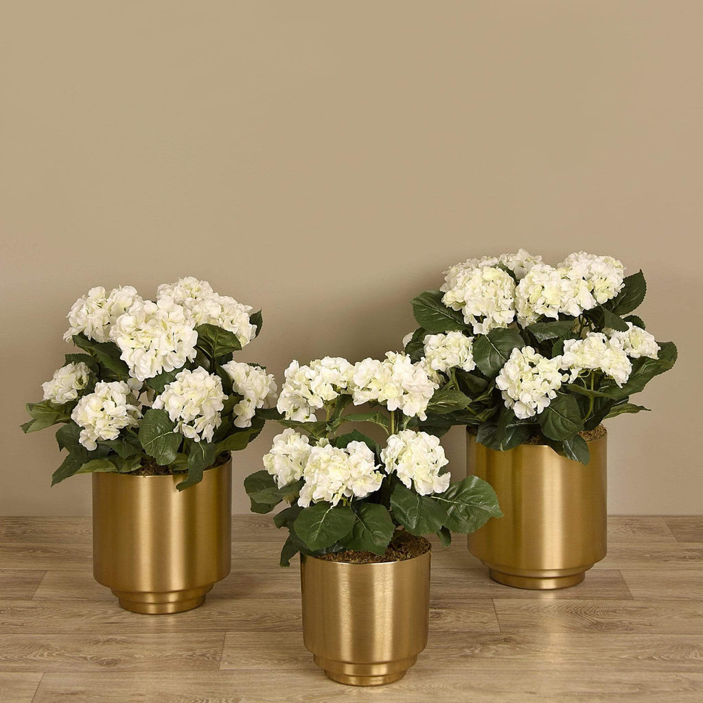 Hydrangea Arrangement - Bloomr