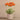 Floral Arrangement-Artificial Potted Poppy (Discontinued)-Bloomr