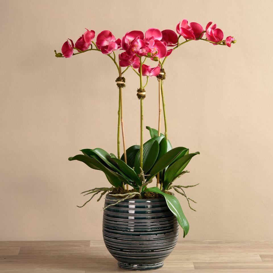 Coastal Artificial Orchid Arrangement - Bloomr
