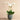 Flowers-Coastal Artificial Orchid Arrangement-Bloomr