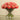 Floral Arrangement-Artificial Ranunculus Arrangement in Glass Vase-Bloomr