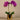 Flowers-Artificial Orchid Arrangement-Bloomr