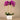 Flowers-Artificial Orchid Arrangement-Bloomr