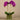 Flowers-Artificial Orchid Arrangement-Bloomr