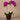 Flowers-Artificial Orchid Arrangement-Bloomr