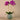 Flowers-Artificial Orchid Arrangement-Bloomr