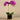 Flowers-Artificial Orchid Arrangement-Bloomr