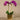 Flowers-Artificial Orchid Arrangement-Bloomr