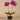 Flowers-Artificial Orchid Arrangement-Bloomr