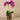 Flowers-Artificial Orchid Arrangement-Bloomr