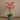 Flowers-Artificial Orchid Arrangement-Bloomr