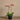 Flowers-Artificial Orchid Arrangement-Bloomr