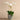 Flowers-Coastal Artificial Orchid Arrangement-Bloomr