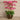 Flowers-Artificial Orchid Arrangement-Bloomr