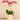 Flowers-Orchid Arrangement in Ceramic Vase-Bloomr