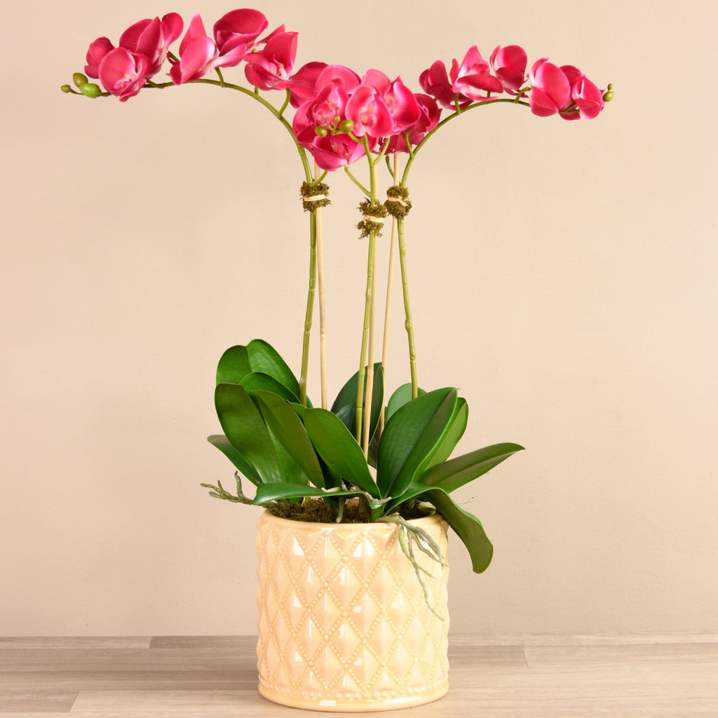 Orchid Arrangement in Ceramic Vase - Bloomr