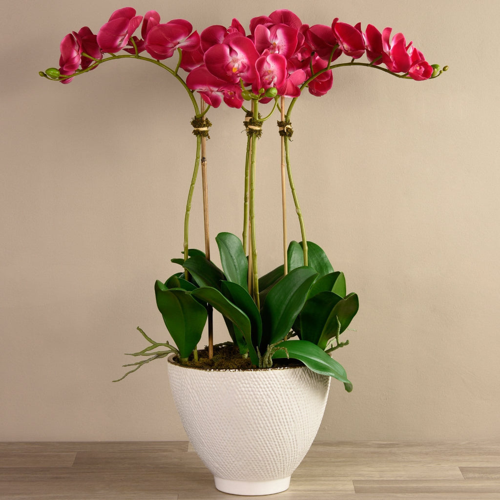 Rustic Orchid Arrangement - Bloomr