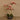 Flowers-Artificial Orchid Arrangement-Bloomr