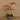 Flowers-Artificial Orchid Arrangement-Bloomr