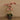 Flowers-Artificial Orchid Arrangement-Bloomr