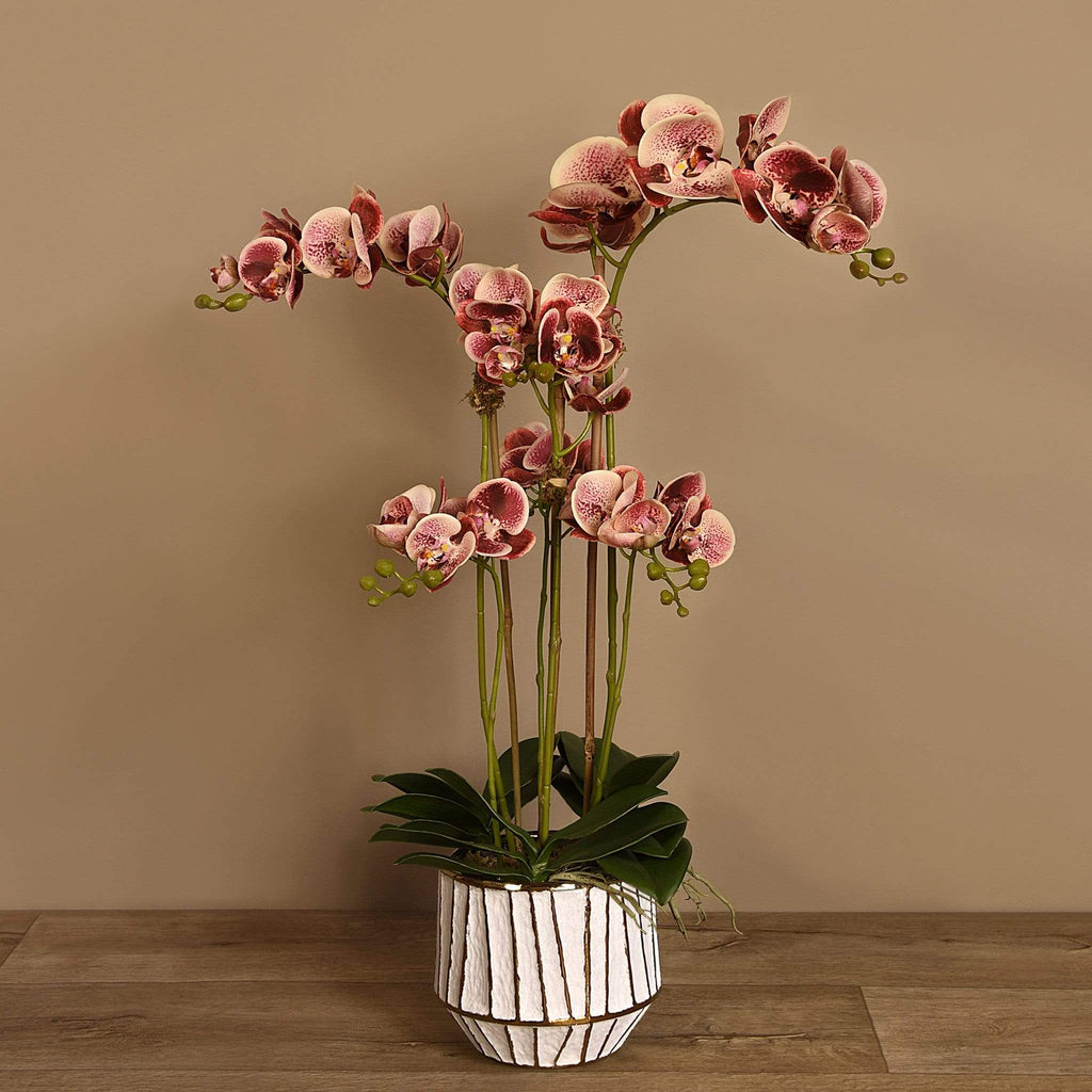 Artificial Orchid Arrangement - Bloomr