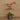 Flowers-Artificial Orchid Arrangement-Bloomr