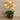 Flowers-Artificial Orchid Arrangement-Bloomr