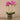 Flowers-Artificial Orchid Arrangement-Bloomr