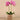 Flowers-Artificial Orchid Arrangement-Bloomr