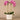 Flowers-Artificial Orchid Arrangement-Bloomr