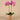 Flowers-Artificial Orchid Arrangement-Bloomr