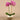 Flowers-Artificial Orchid Arrangement-Bloomr