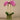 Flowers-Artificial Orchid Arrangement-Bloomr