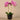 Flowers-Artificial Orchid Arrangement-Bloomr