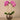 Flowers-Artificial Orchid Arrangement-Bloomr