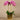 Flowers-Artificial Orchid Arrangement-Bloomr