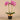 Flowers-Artificial Orchid Arrangement-Bloomr