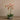 Flowers-Artificial Orchid Arrangement-Bloomr