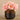 Floral Arrangement-Artificial Peony Arrangement-Bloomr