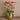 Flowers-Artificial Orchid Arrangement-Bloomr