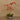 Flowers-Artificial Orchid Arrangement-Bloomr