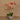 Flowers-Artificial Orchid Arrangement-Bloomr