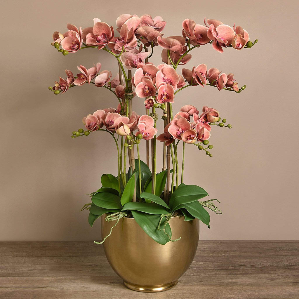 Artificial Orchid Arrangement - Bloomr