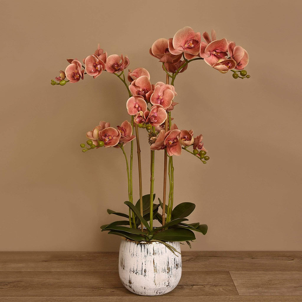 Artificial Orchid Arrangement - Bloomr