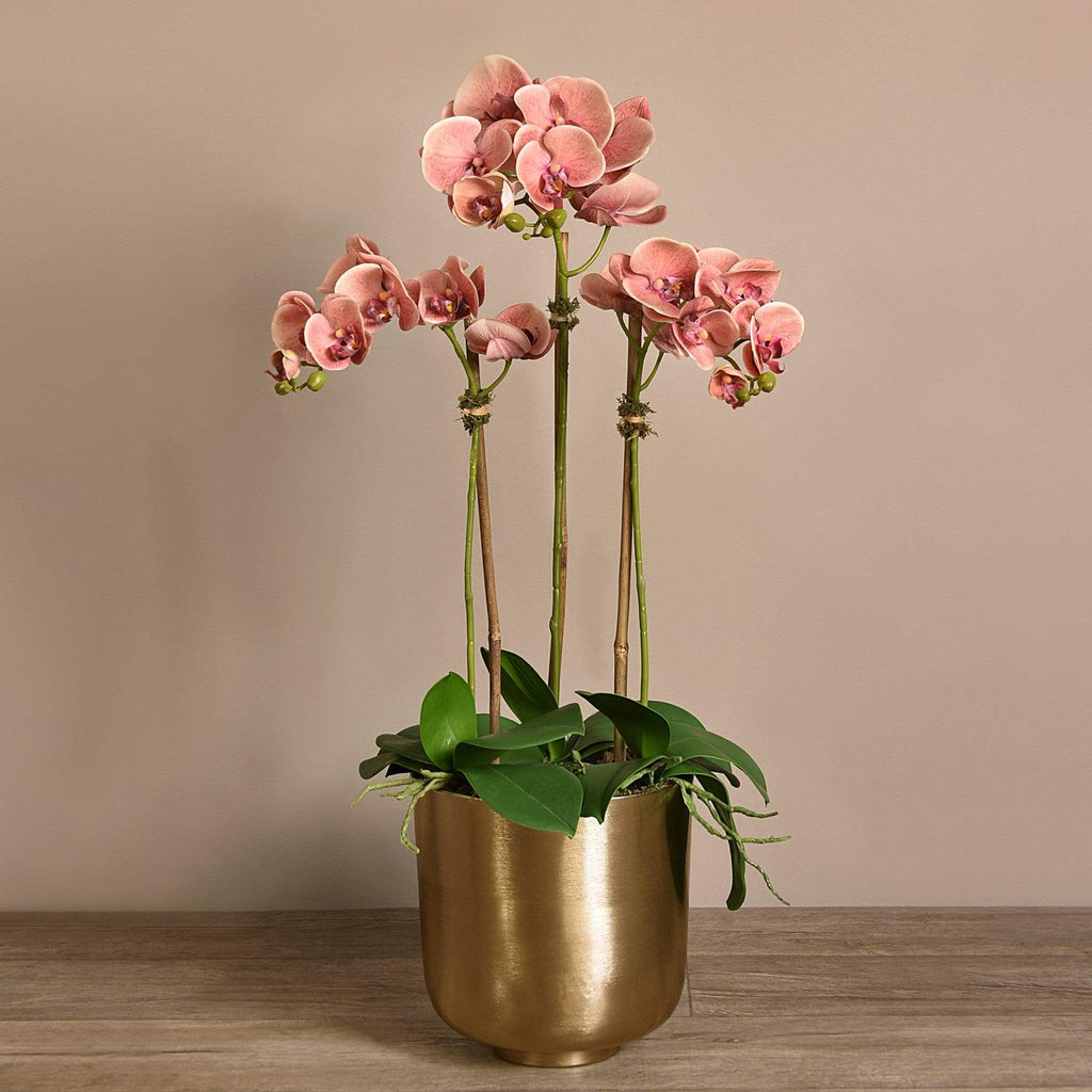 Artificial Orchid Arrangement - Bloomr